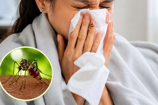 Influenza y malaria registran aumento de casos en Nicaragua