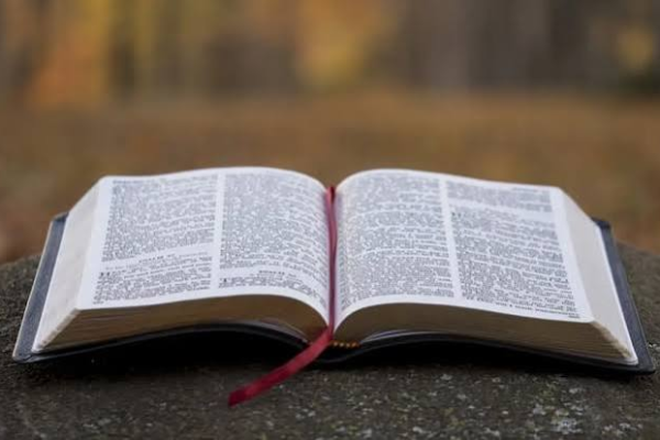 La Biblia en español cumplirá 457 años