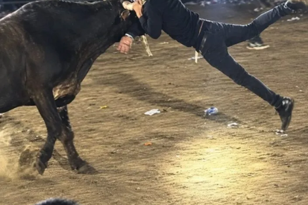 Hombre grave por ser corneado por un toro en barrera de Masaya