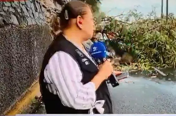 Reportera y camarógrafo son atropellados por una camioneta durante transmisión en vivo