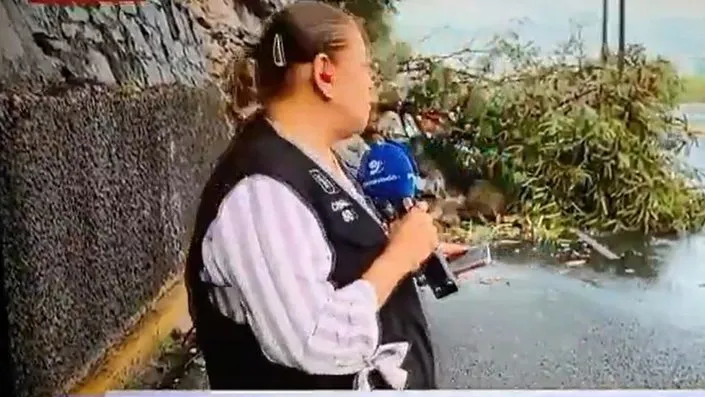 Reportera y camarógrafo son atropellados por una camioneta durante transmisión en vivo
